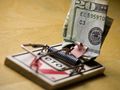 Купить удостоверение рабочей специальности
